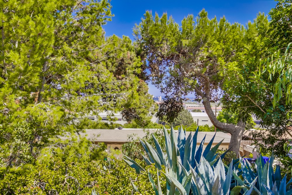 Virtual tour photo 57 of 66 for 2324 Locust Street