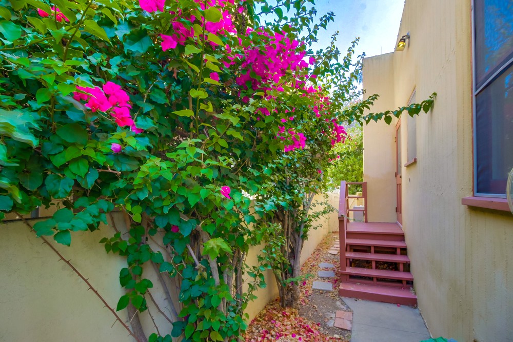 Virtual tour photo 40 of 40 for 2337 Hickory St