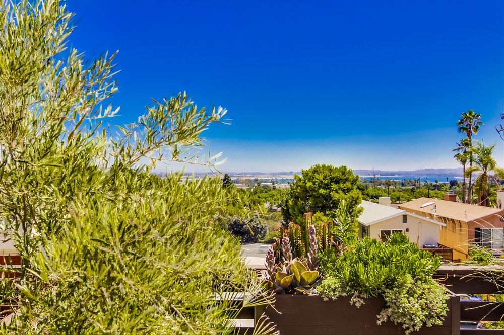 Virtual tour photo 30 of 60 for 2441 Geranium Street