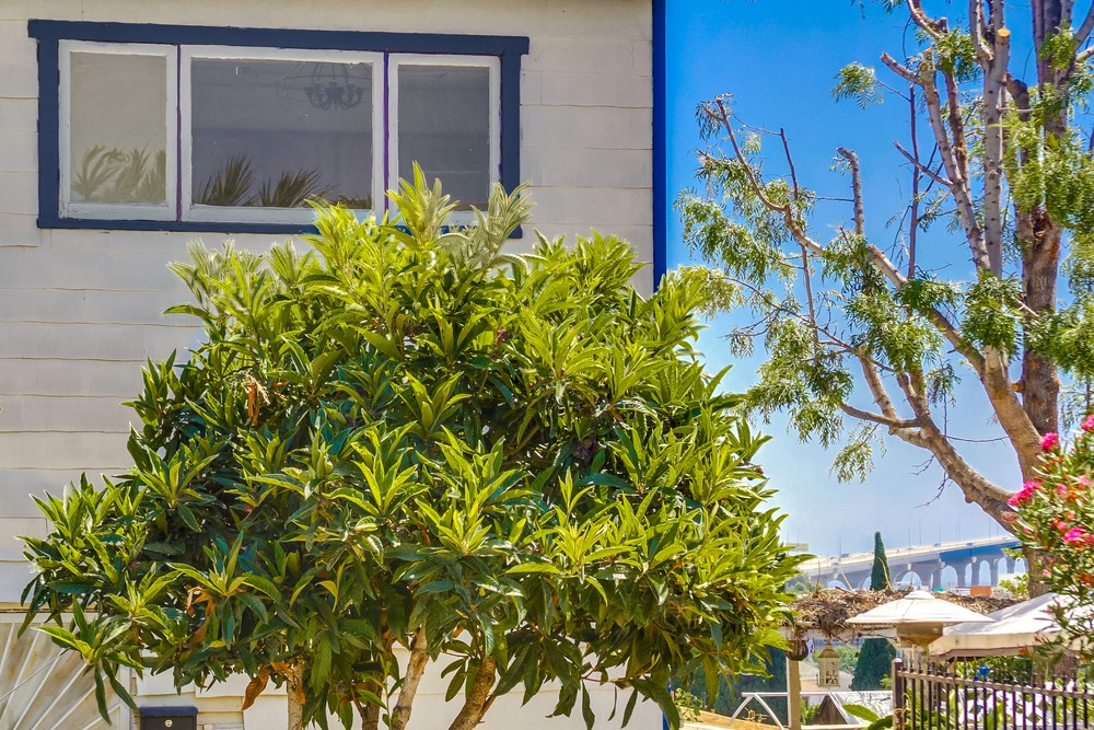 Virtual tour photo 64 of 69 for 2461 J St