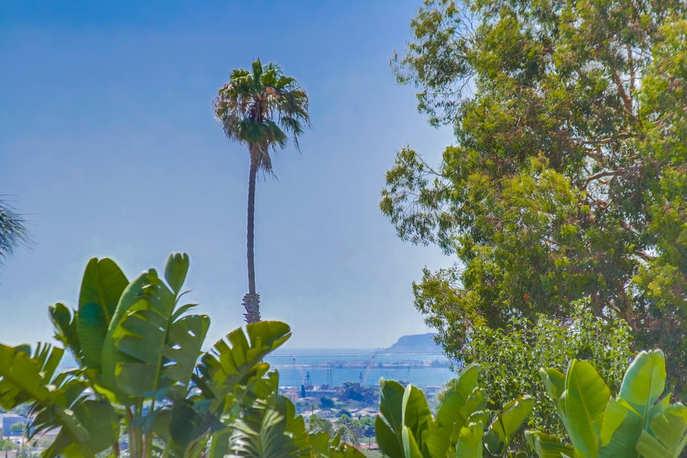 Virtual tour photo 45 of 62 for 2478 Calle Aguadulce