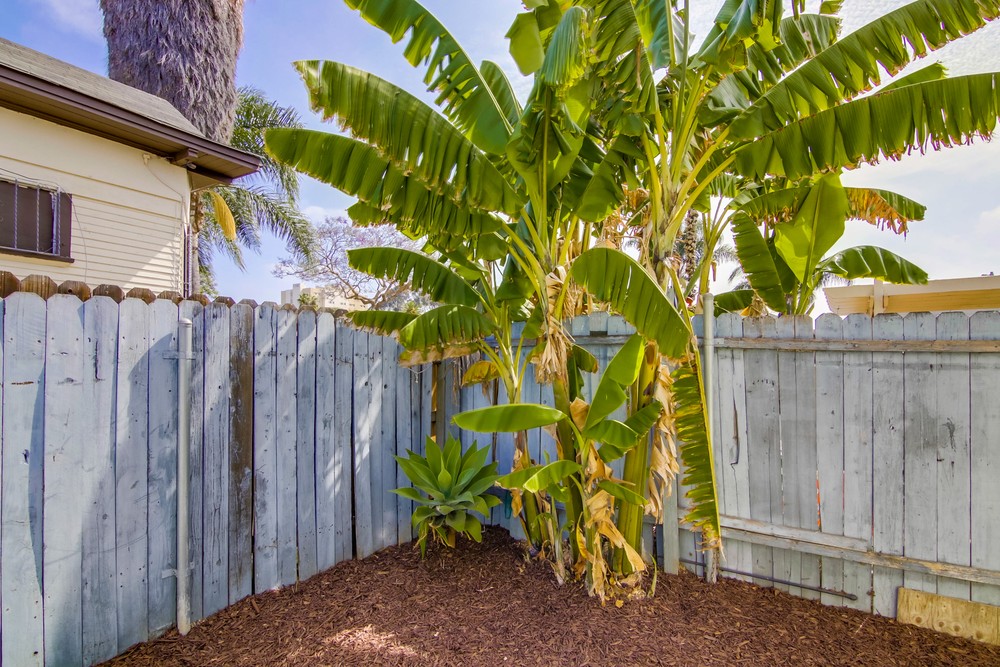 Virtual tour photo 29 of 32 for 2486 L St