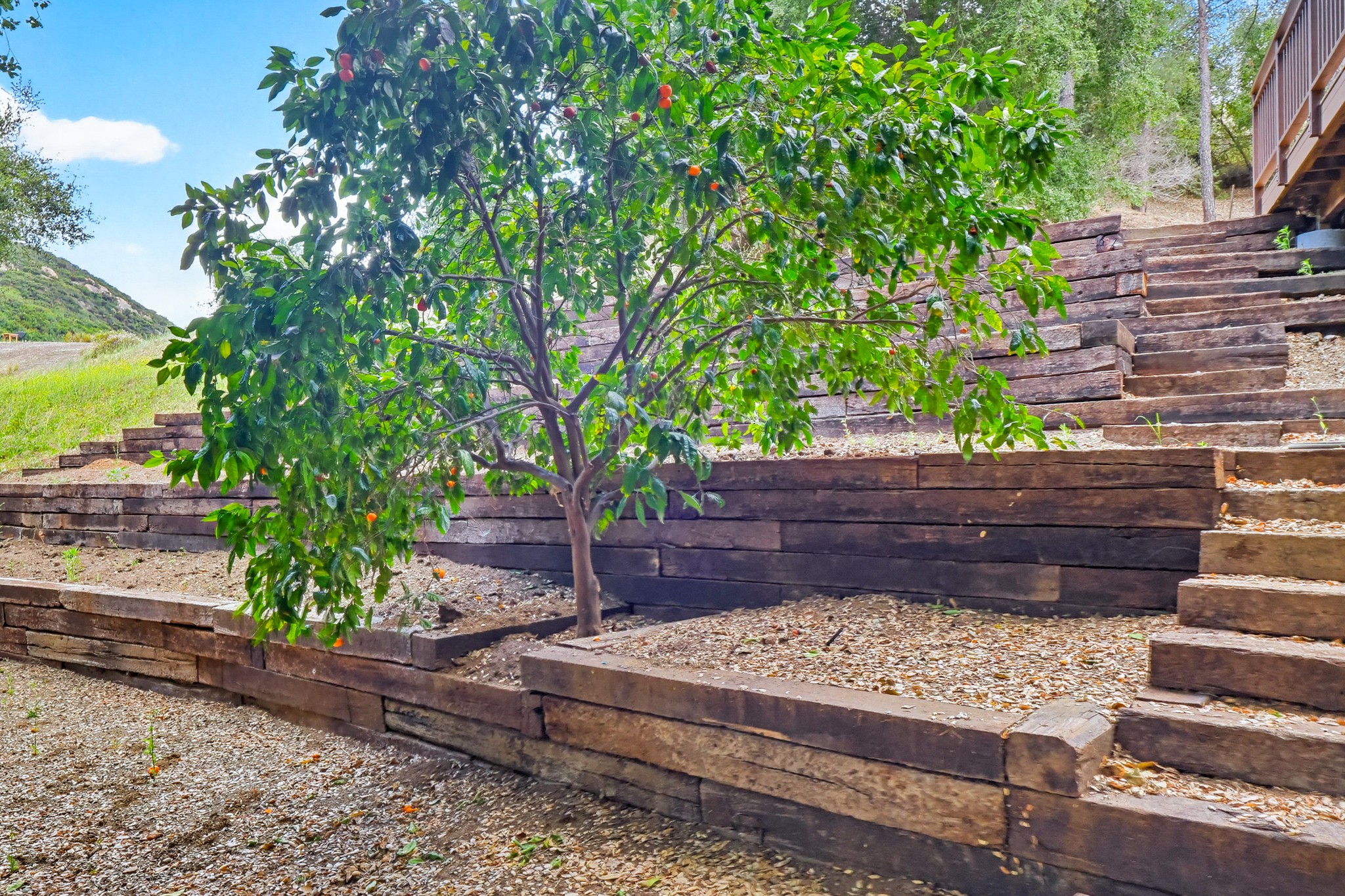 Virtual tour photo 109 of 110 for 24970 Bob Batchelor Rd