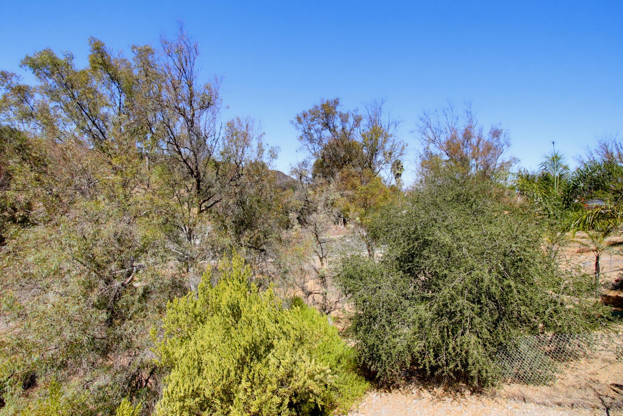 Virtual tour photo 41 of 45 for 2499 Windmill View Rd