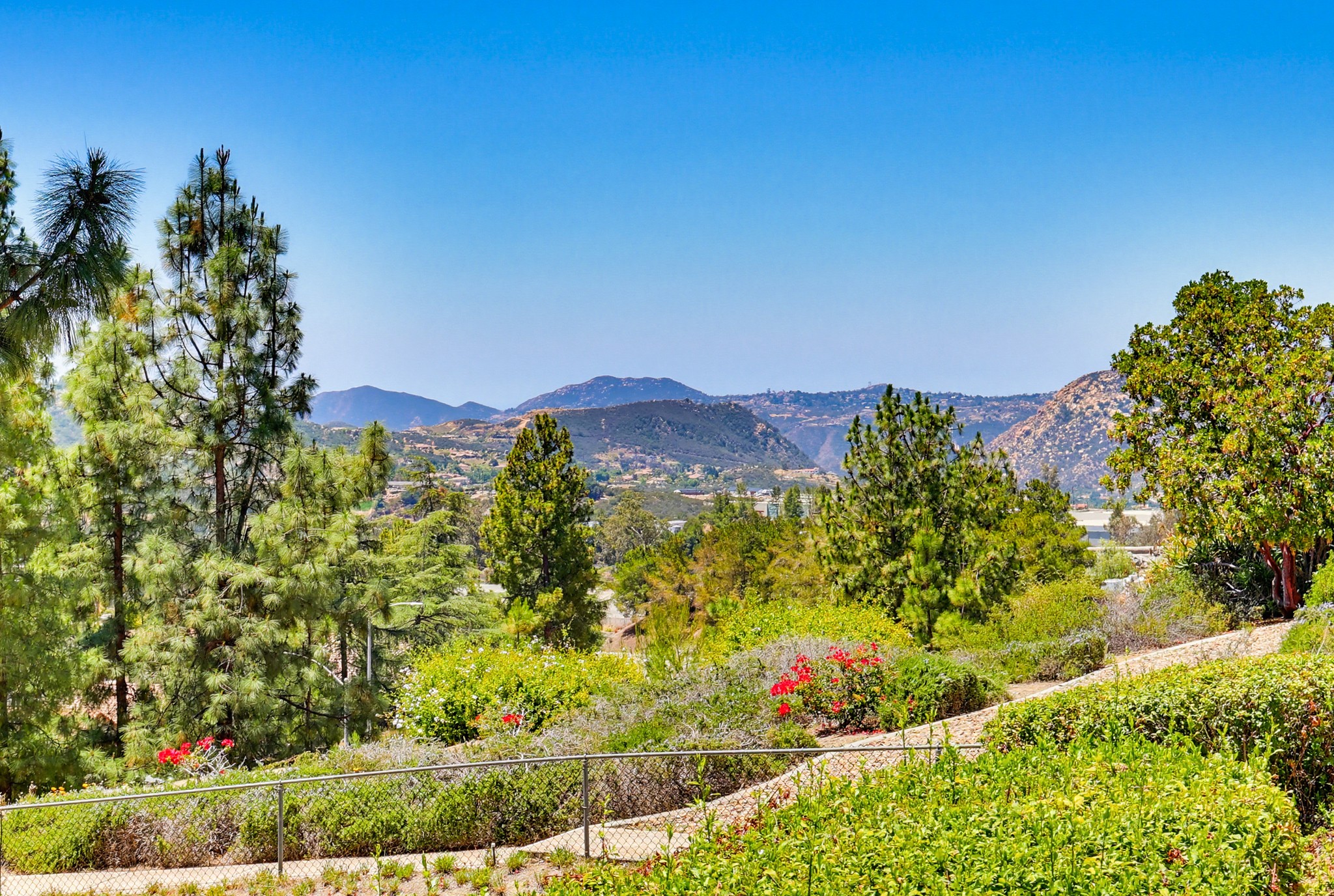 Virtual tour photo 60 of 74 for 2501 Columbine Rd
