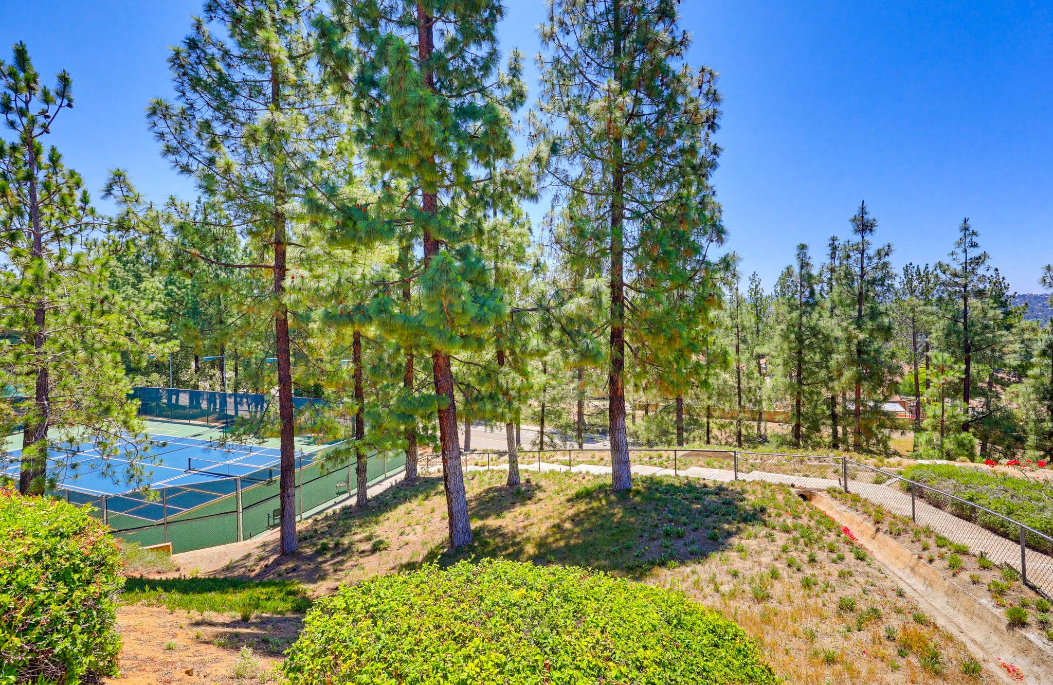 Virtual tour photo 65 of 74 for 2501 Columbine Rd