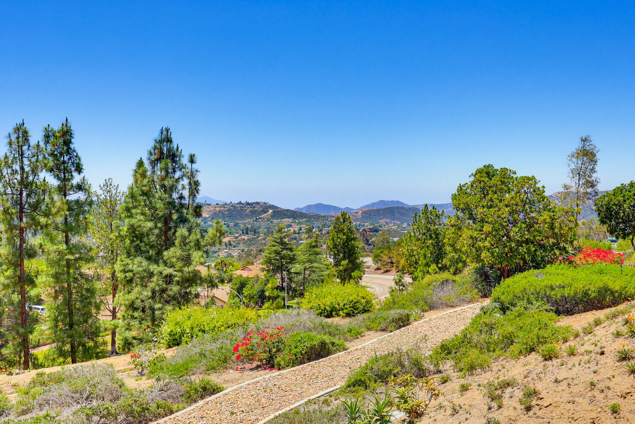 Virtual tour photo 66 of 74 for 2501 Columbine Rd