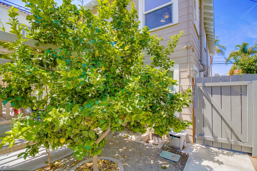 Virtual tour photo 46 of 49 for 2525 E St