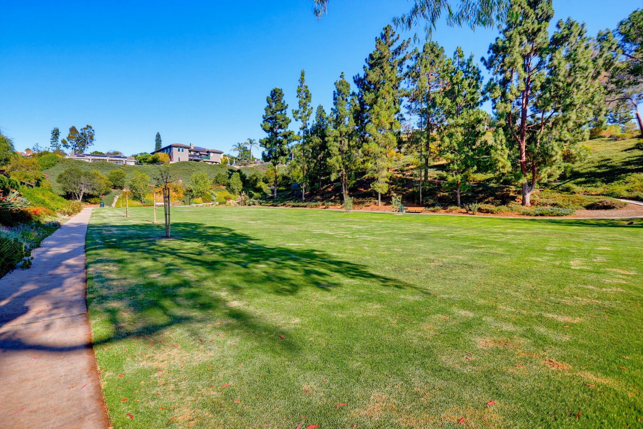Virtual tour photo 81 of 80 for 25251 Via Piedra Blanca