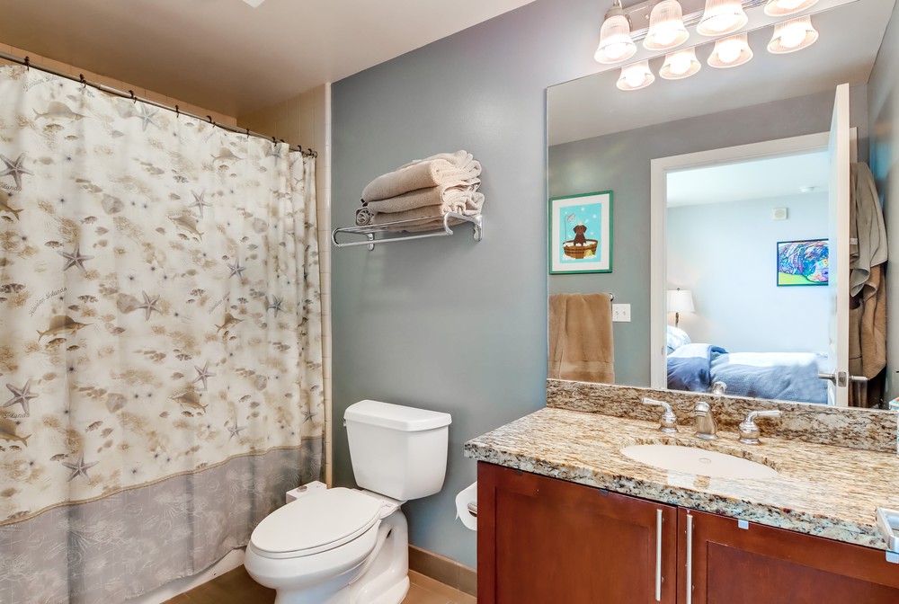 Virtual tour photo 36 of 54 for 253 Tenth Ave UNIT 732