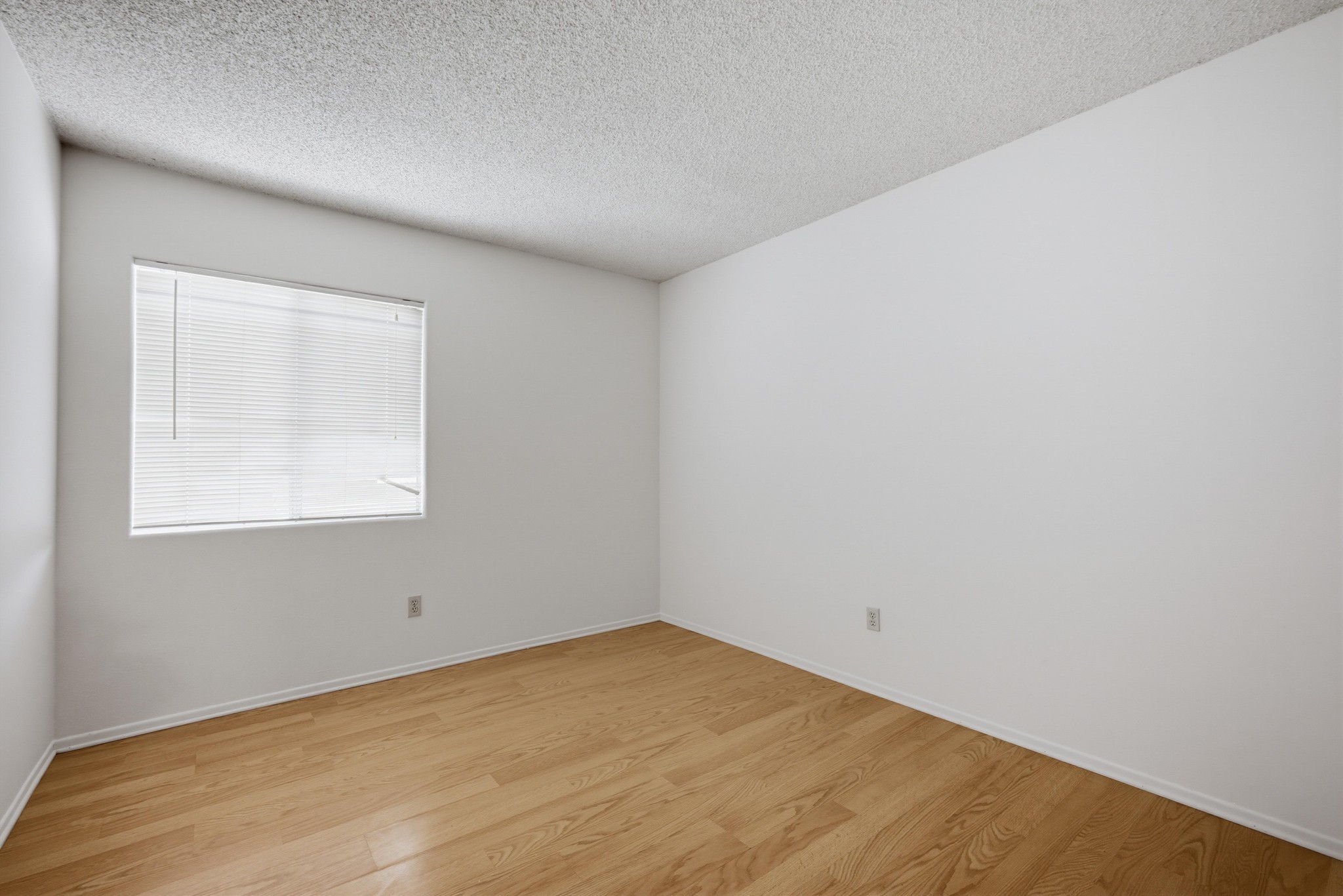Virtual tour photo 37 of 55 for 25303 Copperleaf Ct