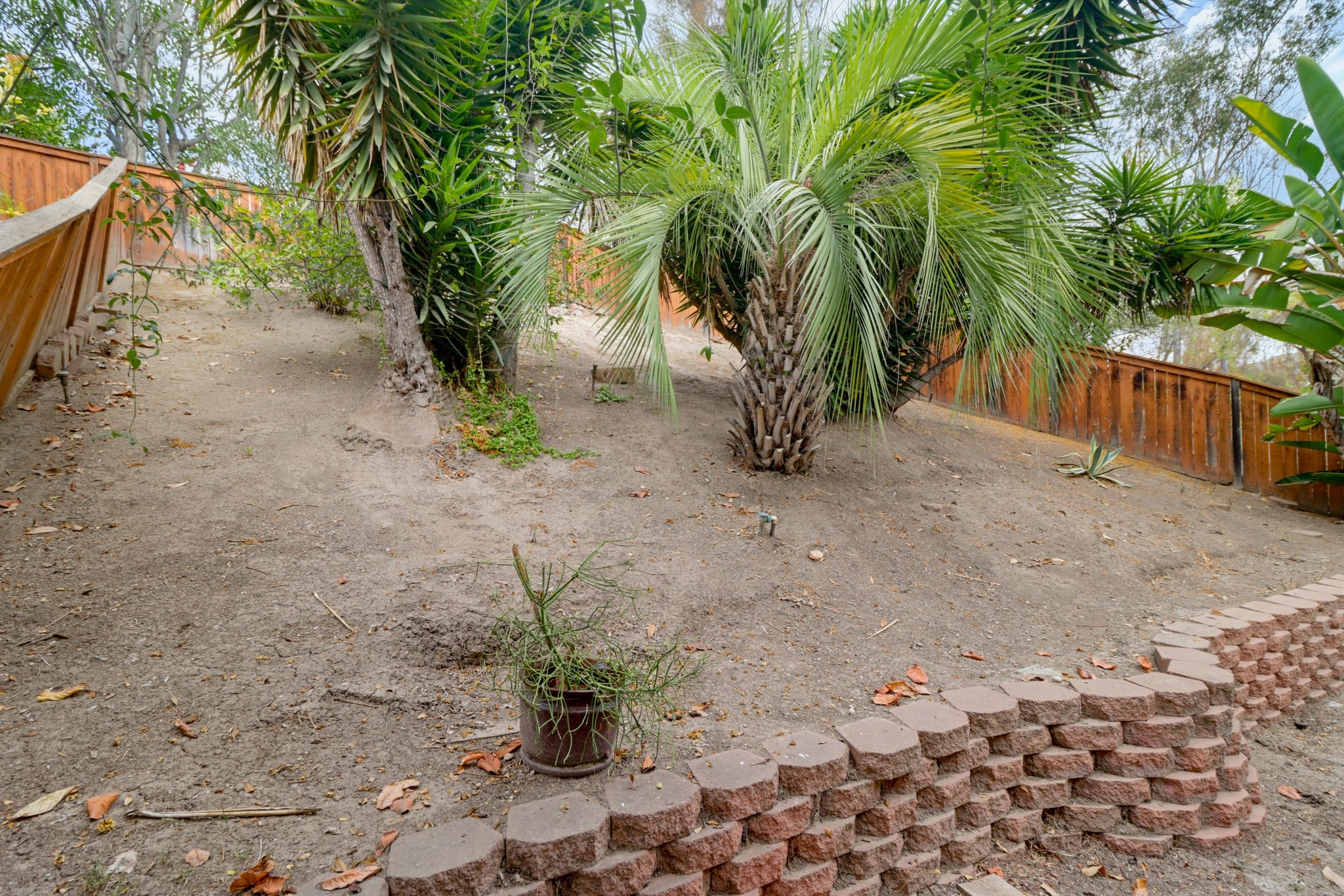Virtual tour photo 57 of 70 for 2535 Saddlehorn Dr