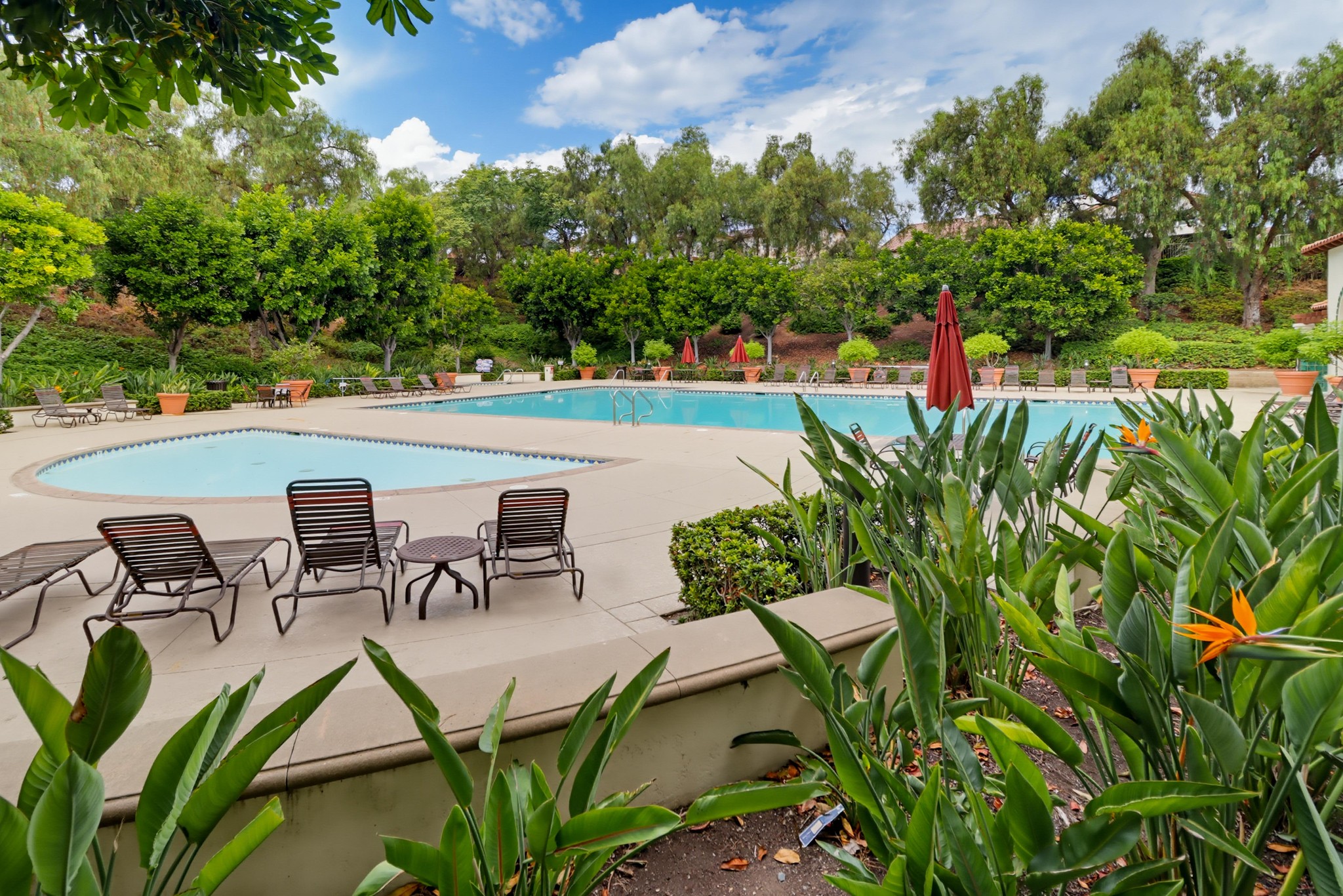Virtual tour photo 69 of 70 for 2535 Saddlehorn Dr