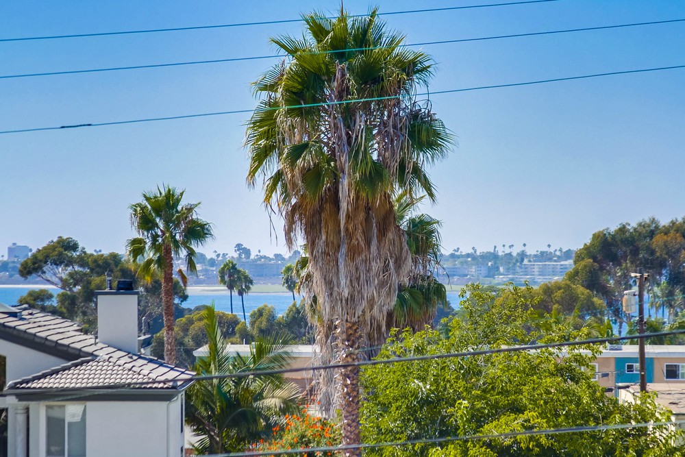 Virtual tour photo 90 of 119 for 2536 Erie St