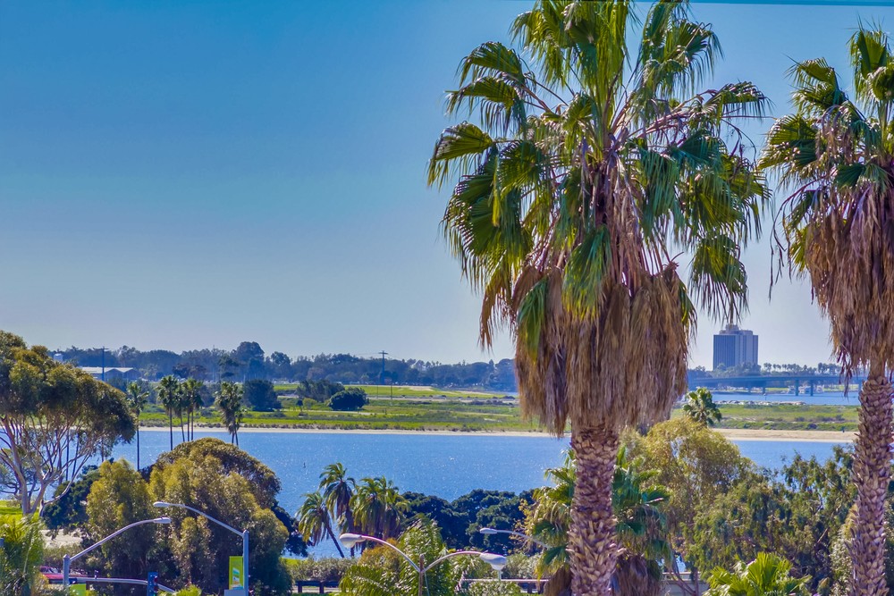 Virtual tour photo 43 of 44 for 2540 Clairemont Dr.