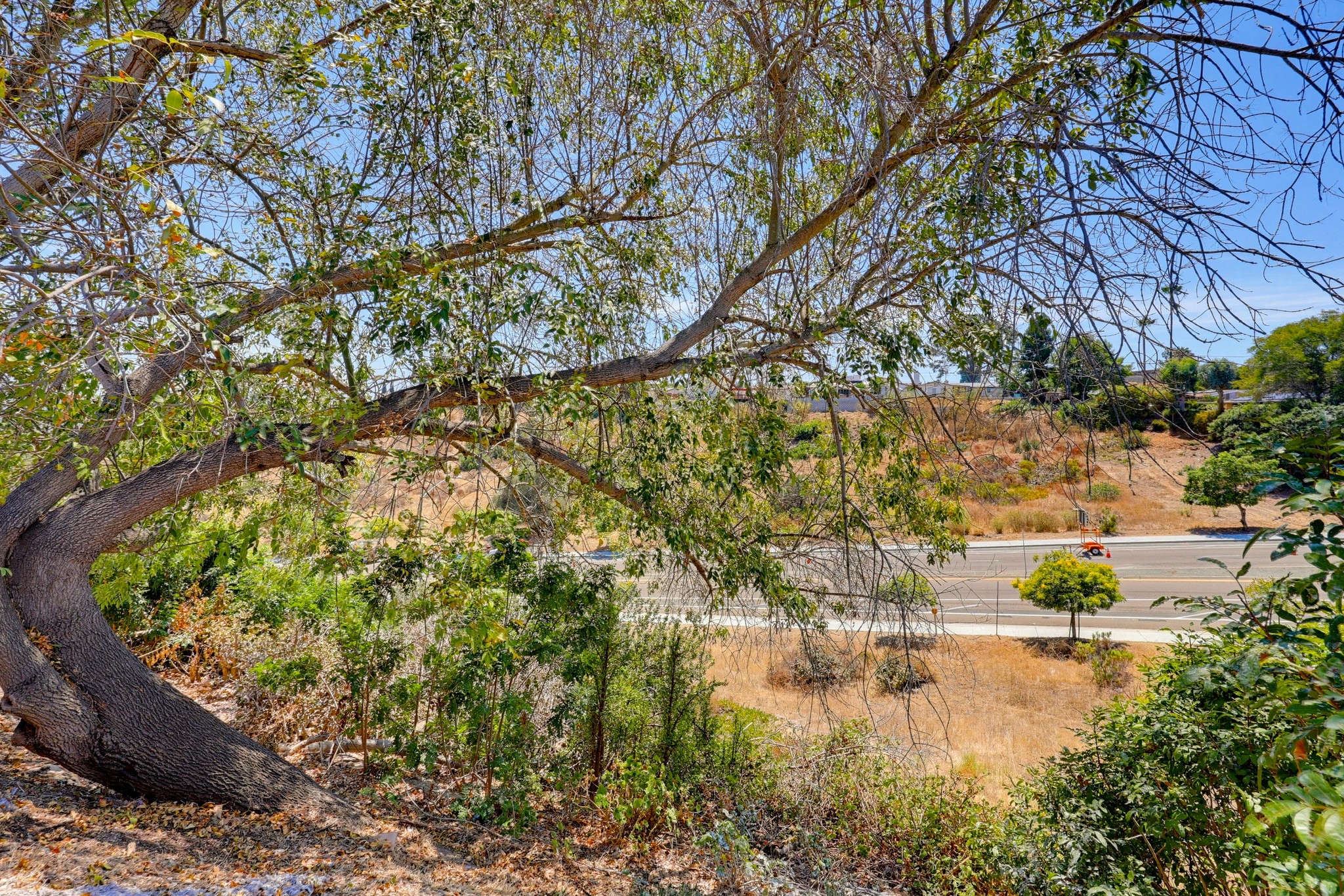 Virtual tour photo 79 of 81 for 2564 Marathon Dr