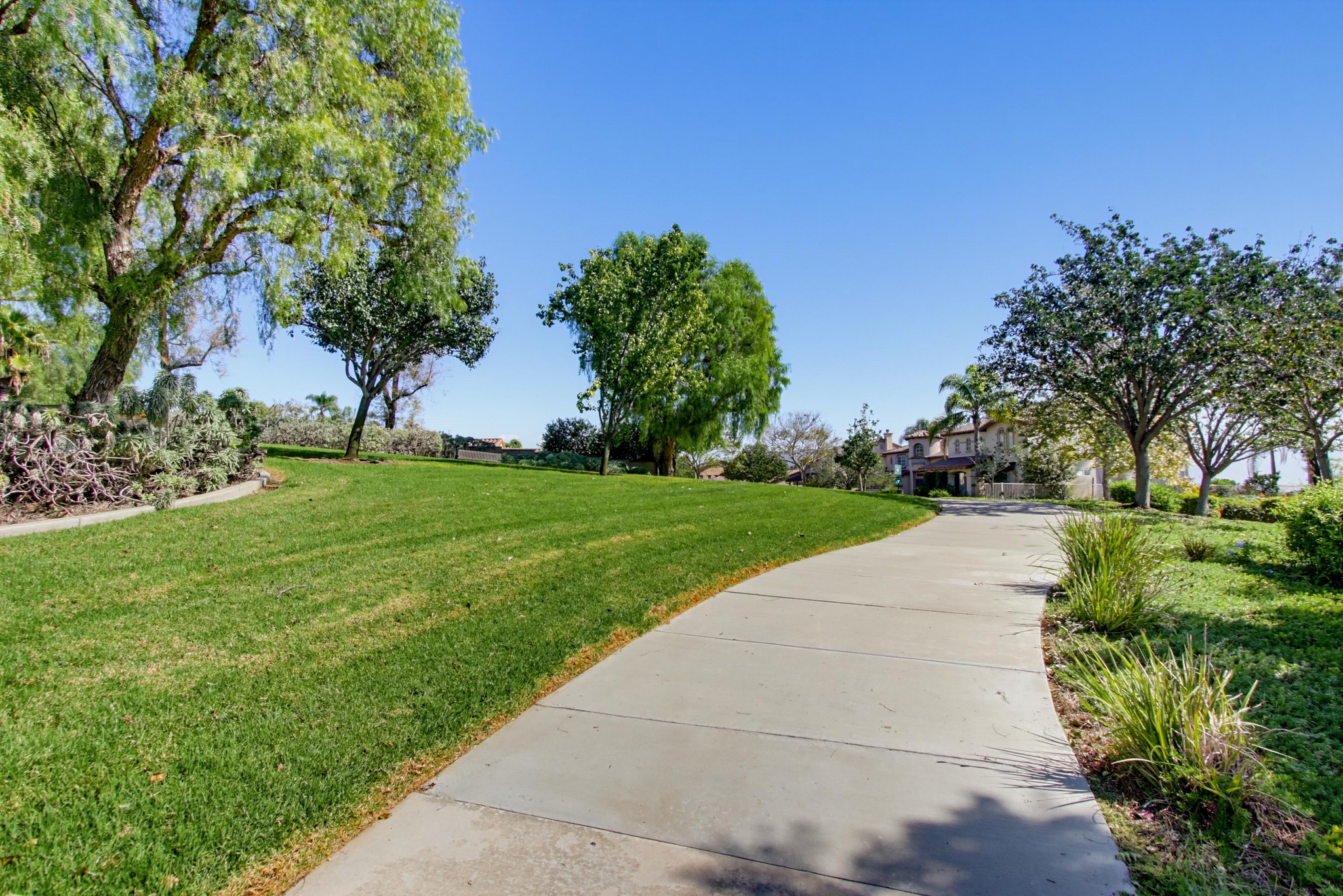 Virtual tour photo 39 of 41 for 2565 High Trail Ct