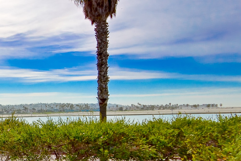 Virtual tour photo 17 of 37 for 2595 Ocean Front Walk #1