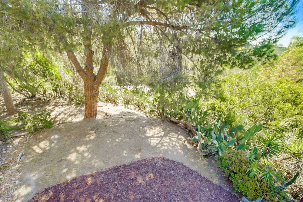 Virtual tour photo 55 of 56 for 2609 33rd St