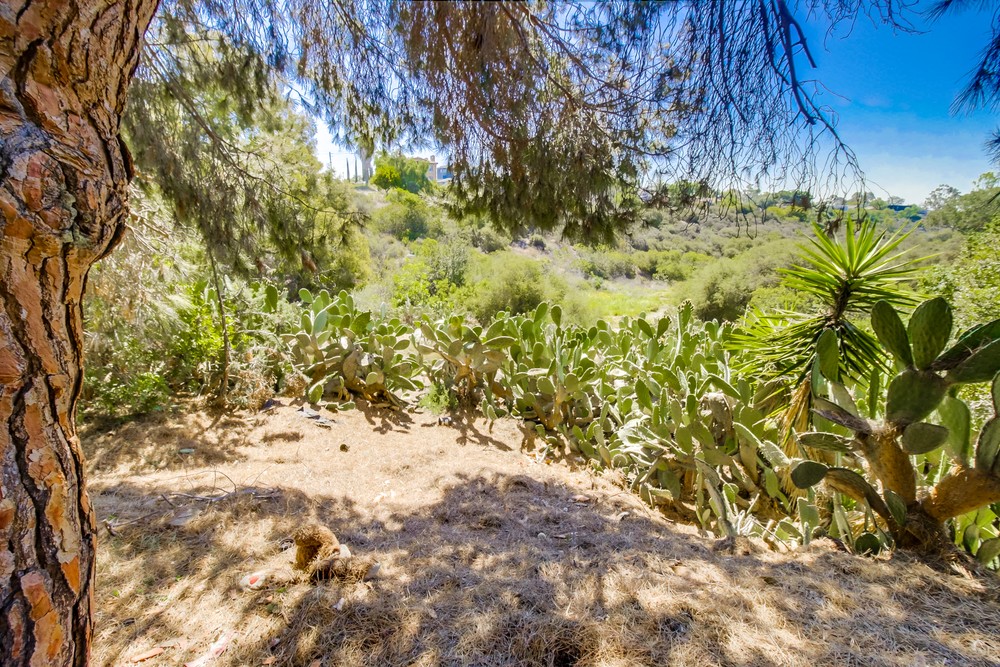 Virtual tour photo 56 of 56 for 2609 33rd St
