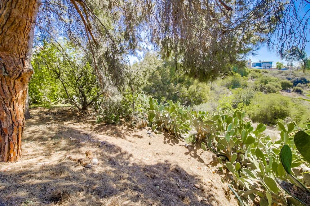 Virtual tour photo 57 of 56 for 2609 33rd St