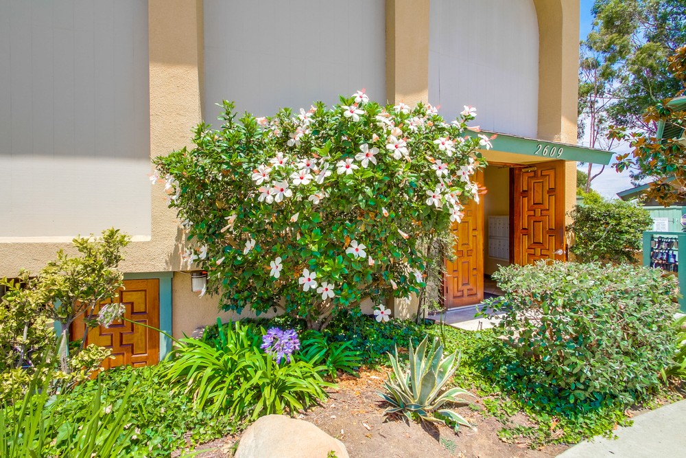 Virtual tour photo 4 of 25 for 2609 Pico Pl #232