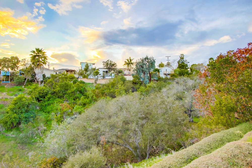 Virtual tour photo 92 of 92 for 2610 Kew Terrace