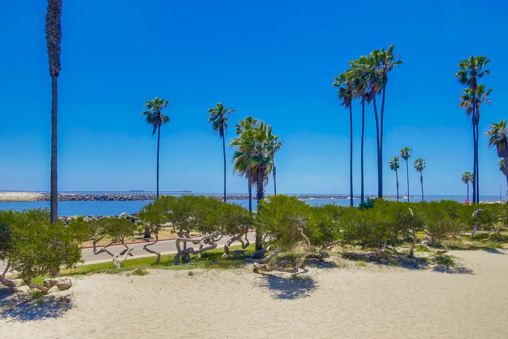Virtual tour photo 40 of 44 for 2614 Strandway