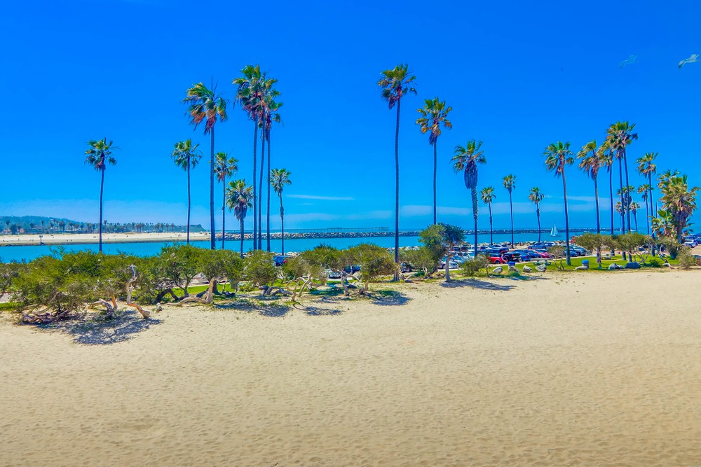 Virtual tour photo 80 of 81 for 2626 Ocean Front Walk