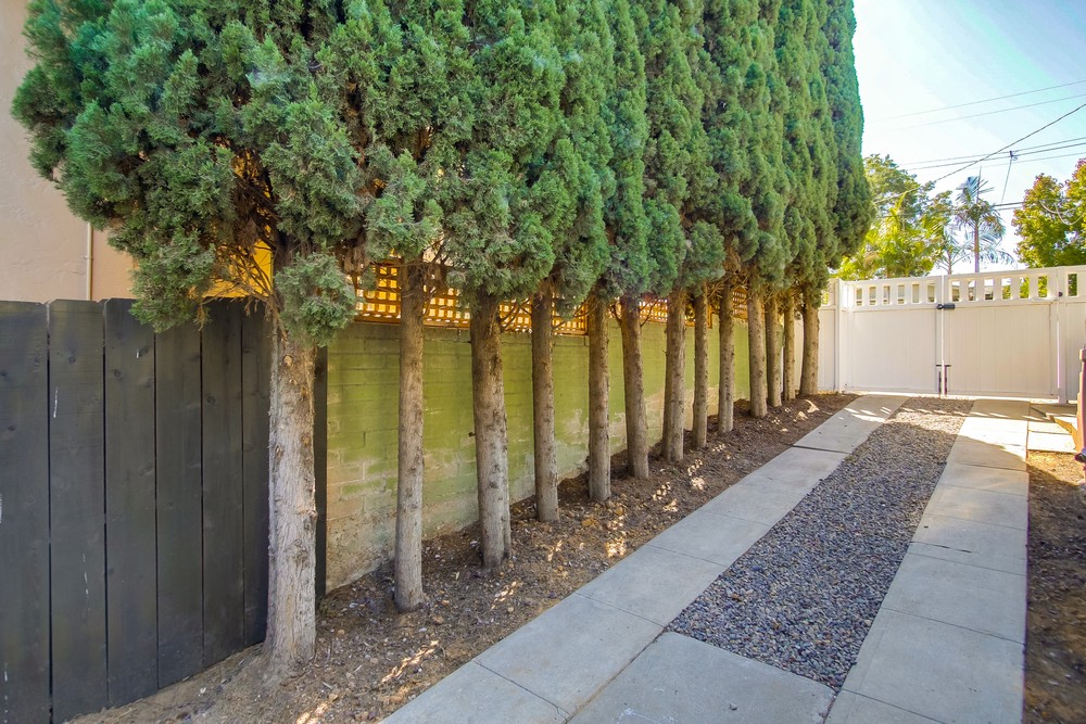 Virtual tour photo 57 of 61 for 2631 Montclair St
