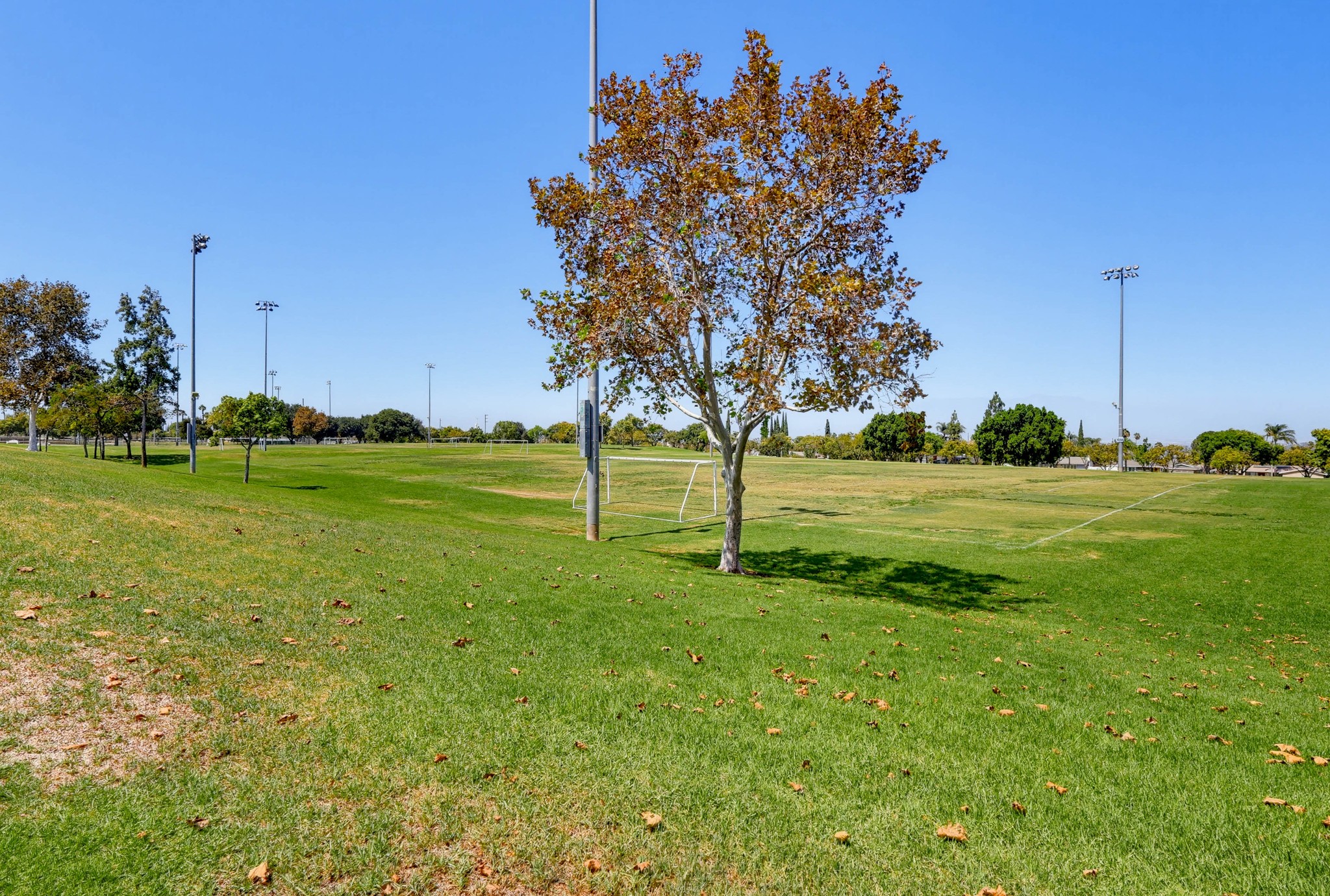 Virtual tour photo 141 of 140 for 2664 Scenic Crest Ln