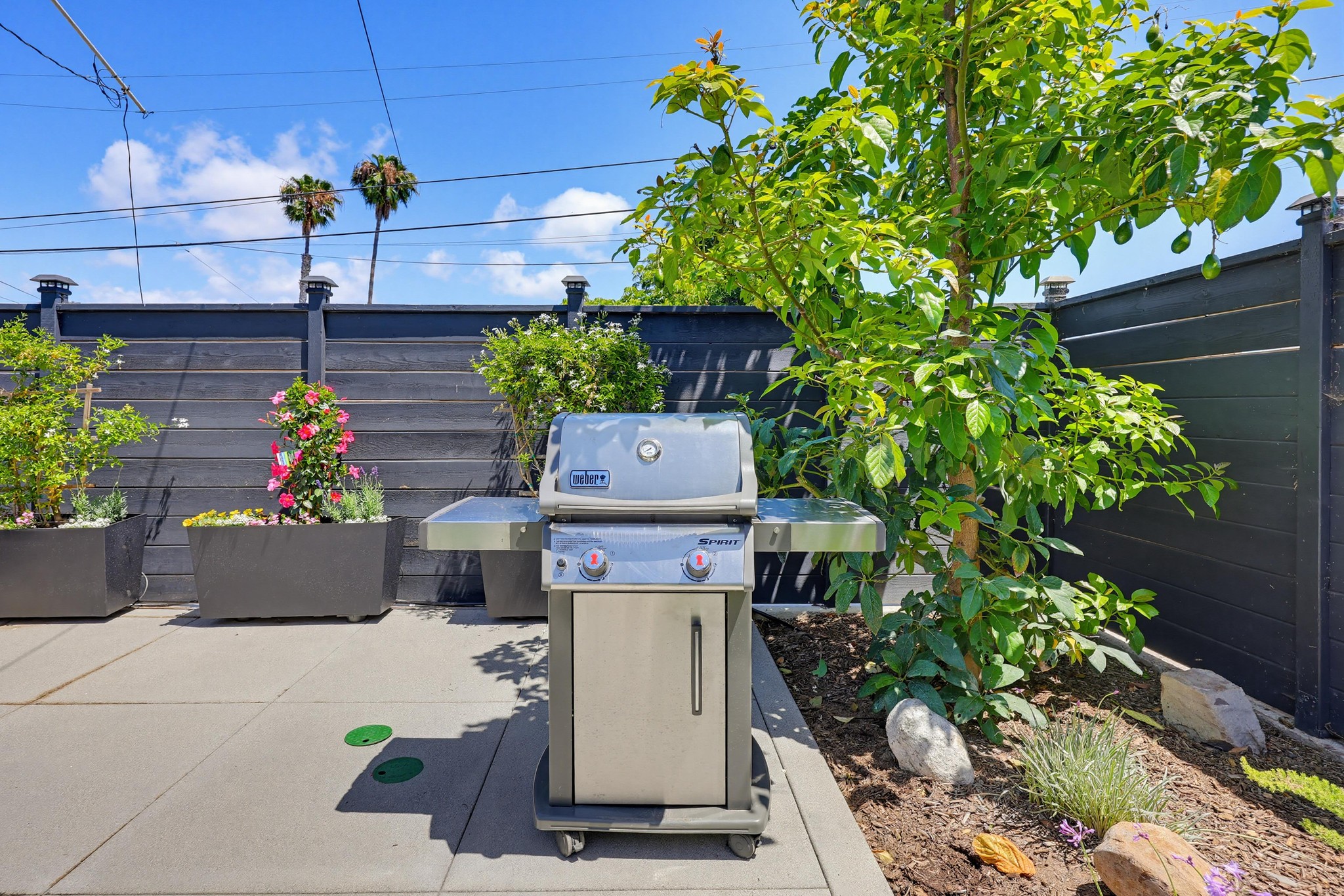 Virtual tour photo 9 of 36 for 2677 Jonquil Dr