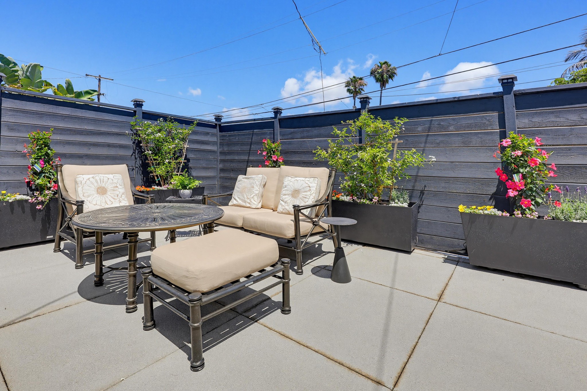 Virtual tour photo 10 of 36 for 2677 Jonquil Dr