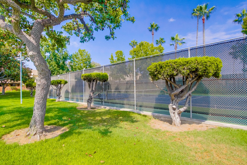 Virtual tour photo 50 of 52 for 2691 Caminito Secoya