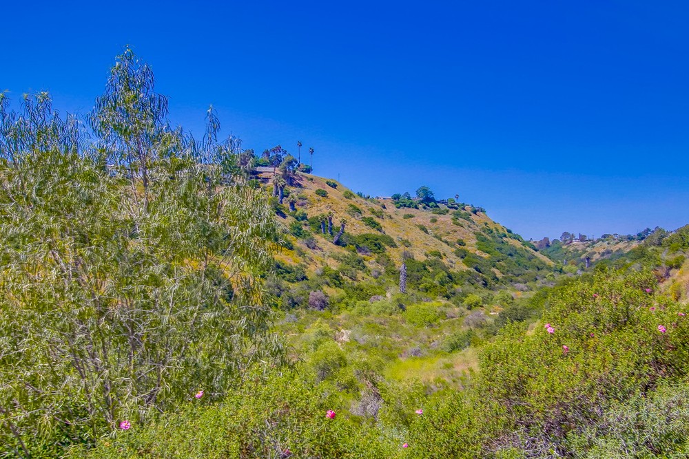 Virtual tour photo 67 of 71 for 2708 Piantino Cir