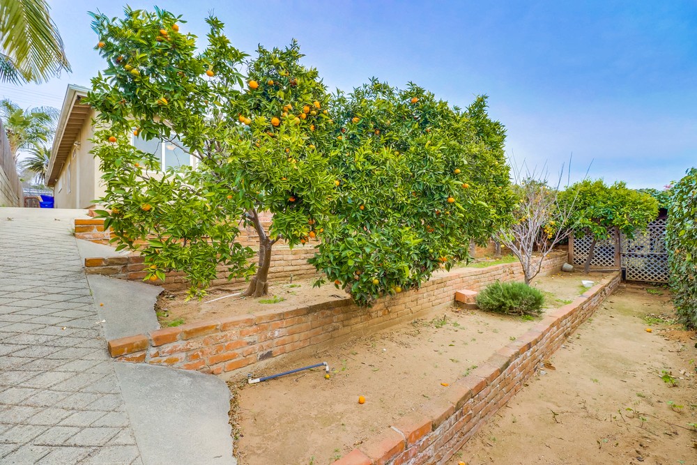 Virtual tour photo 43 of 43 for 2720 Grandview St