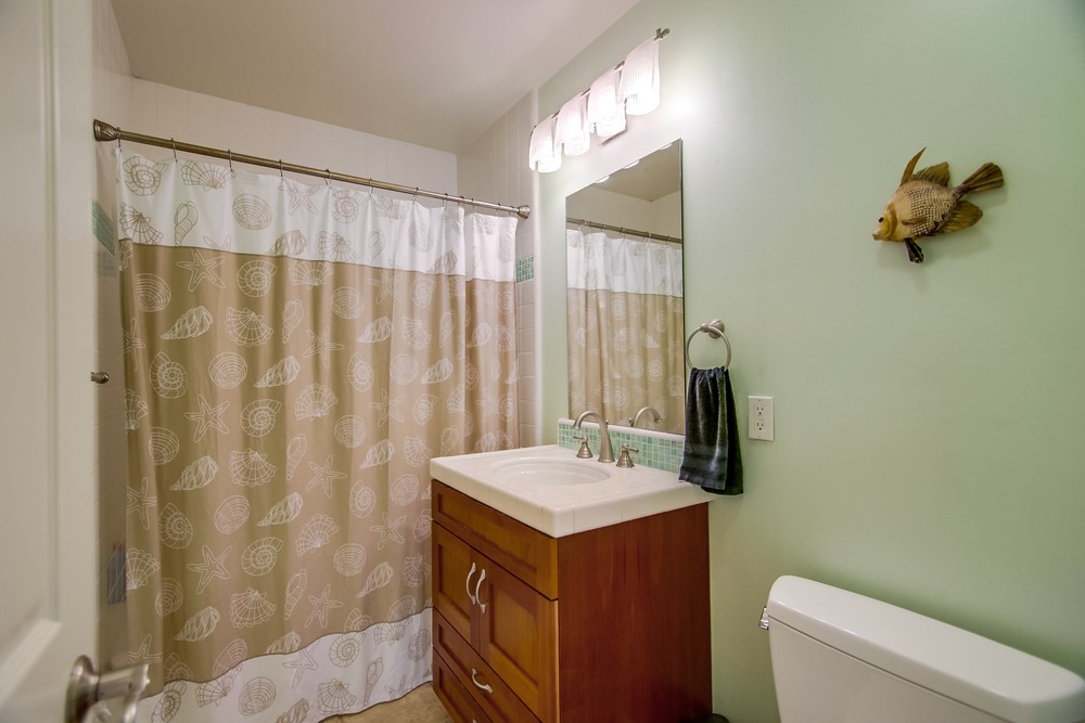 Virtual tour photo 47 of 67 for 2739 Nipoma St
