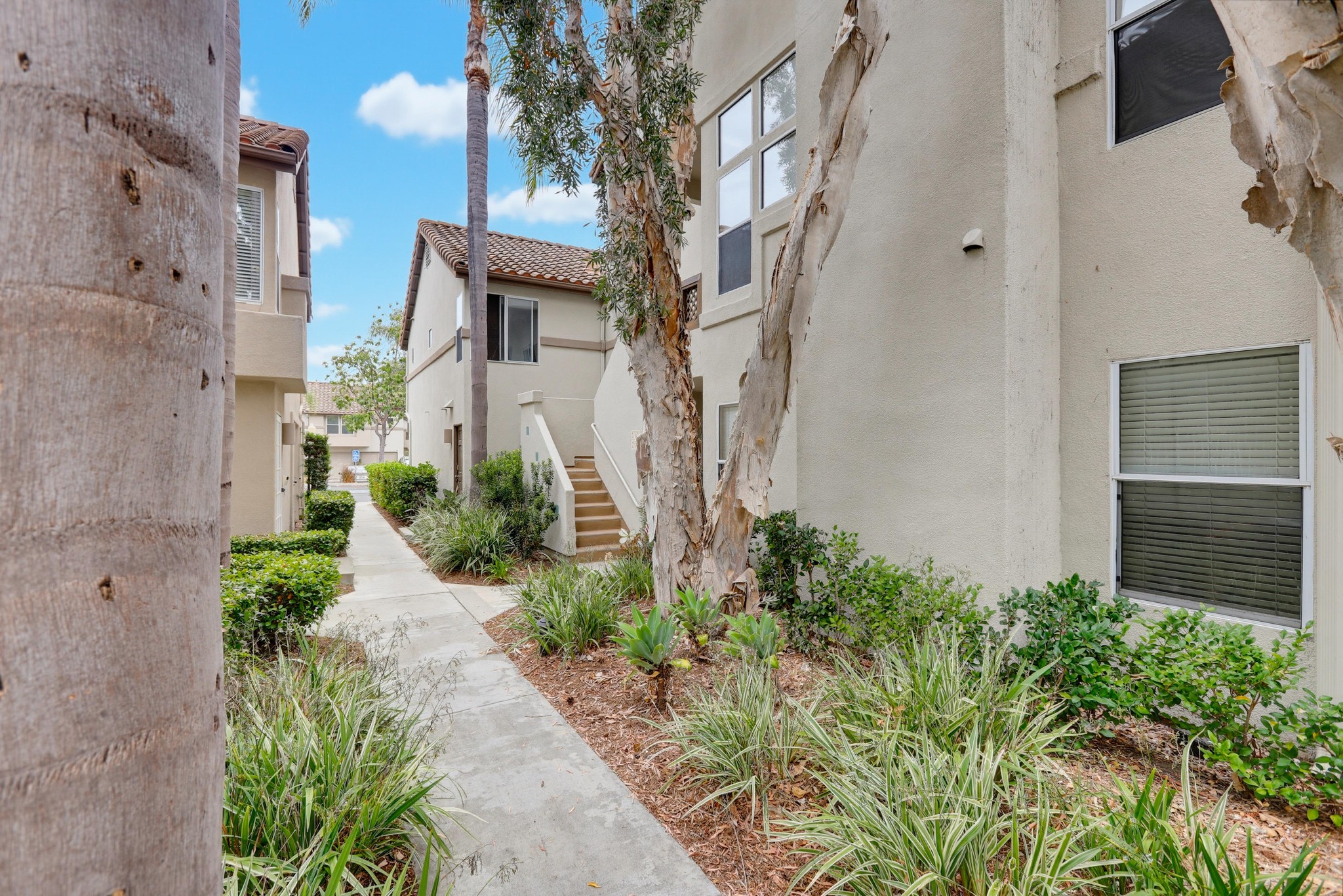 Virtual tour photo 4 of 85 for 27529 Serena