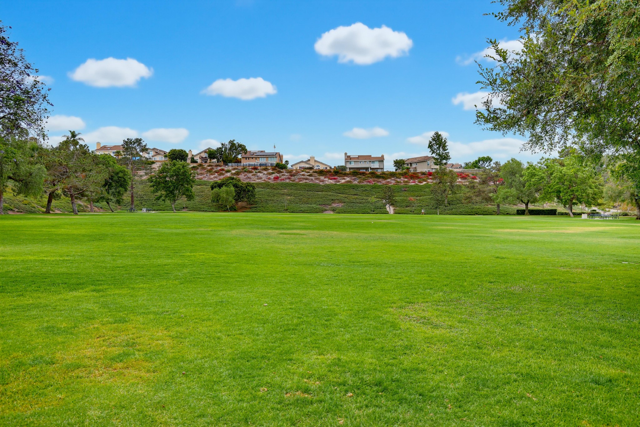 Virtual tour photo 75 of 85 for 27529 Serena
