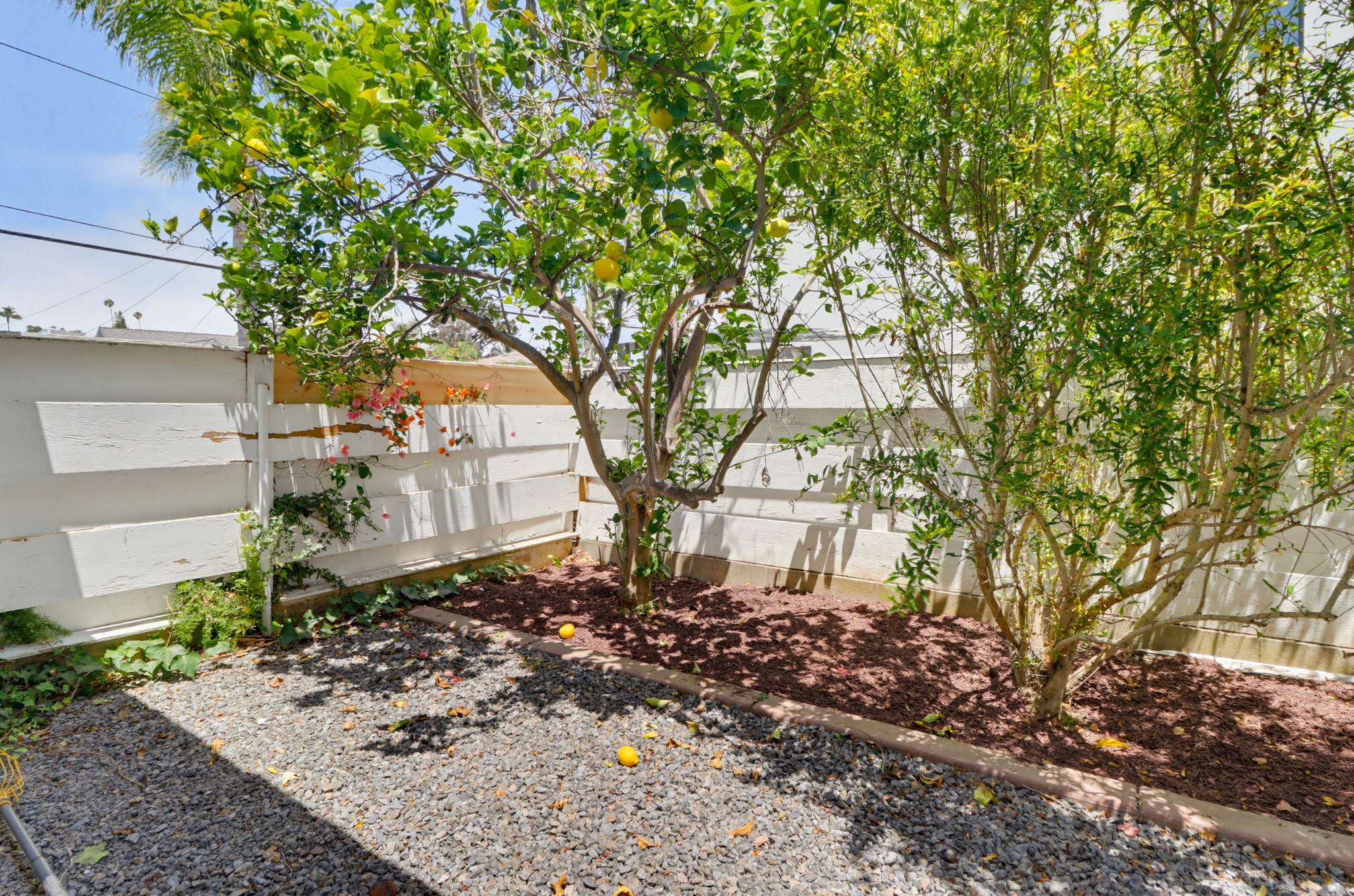 Virtual tour photo 53 of 80 for 2767 Palomino Cir
