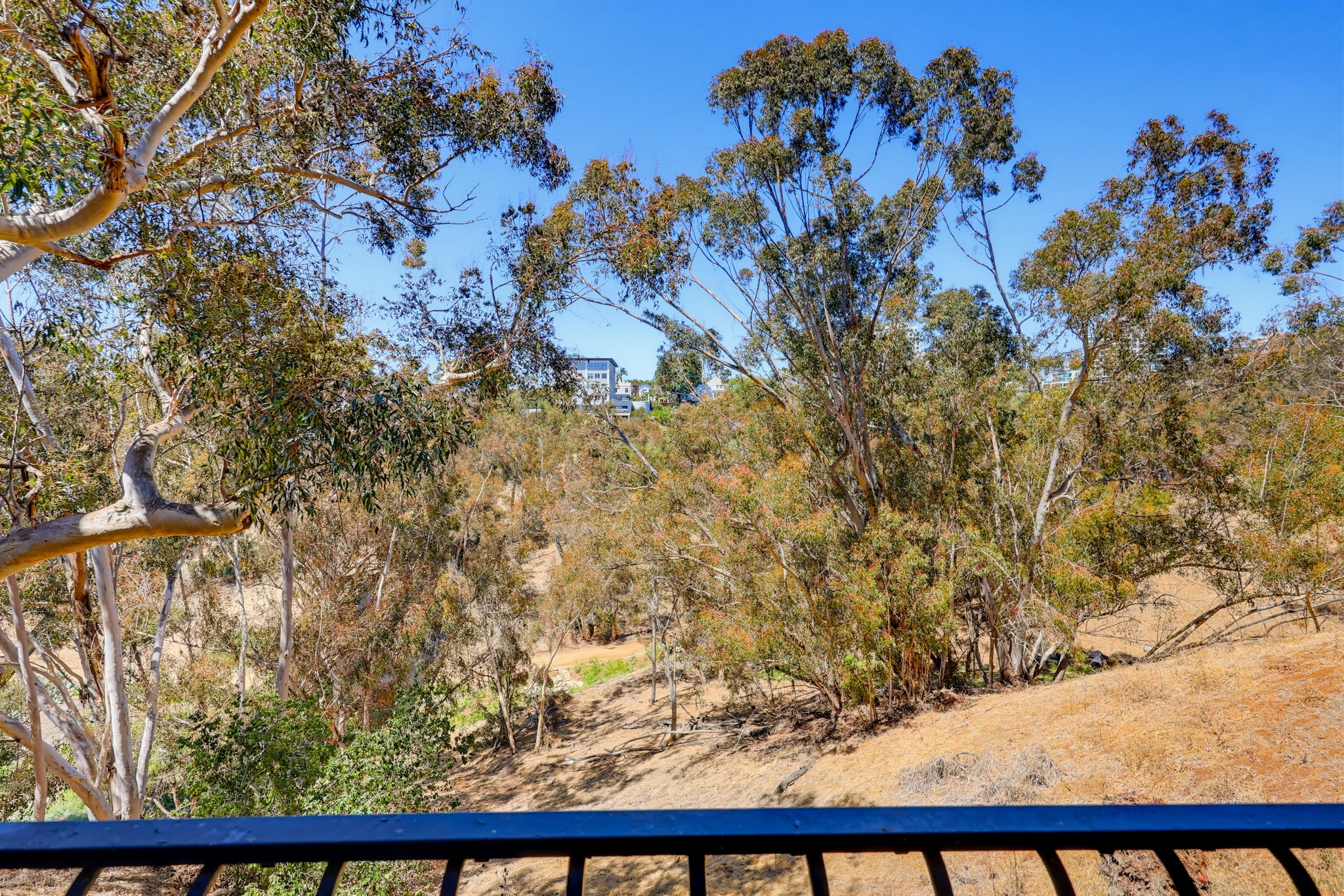 Virtual tour photo 44 of 70 for 2770 Second Ave