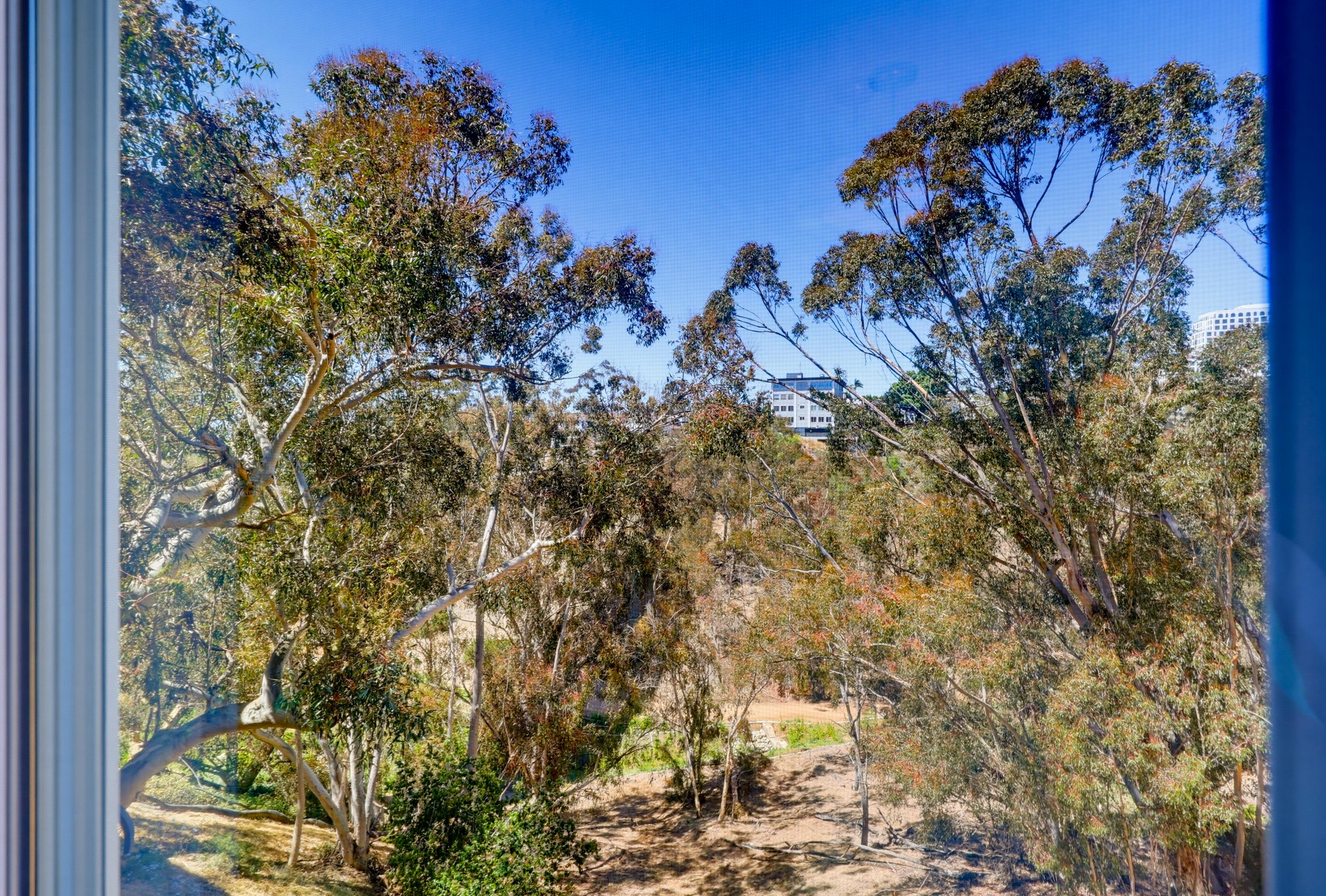 Virtual tour photo 53 of 70 for 2770 Second Ave