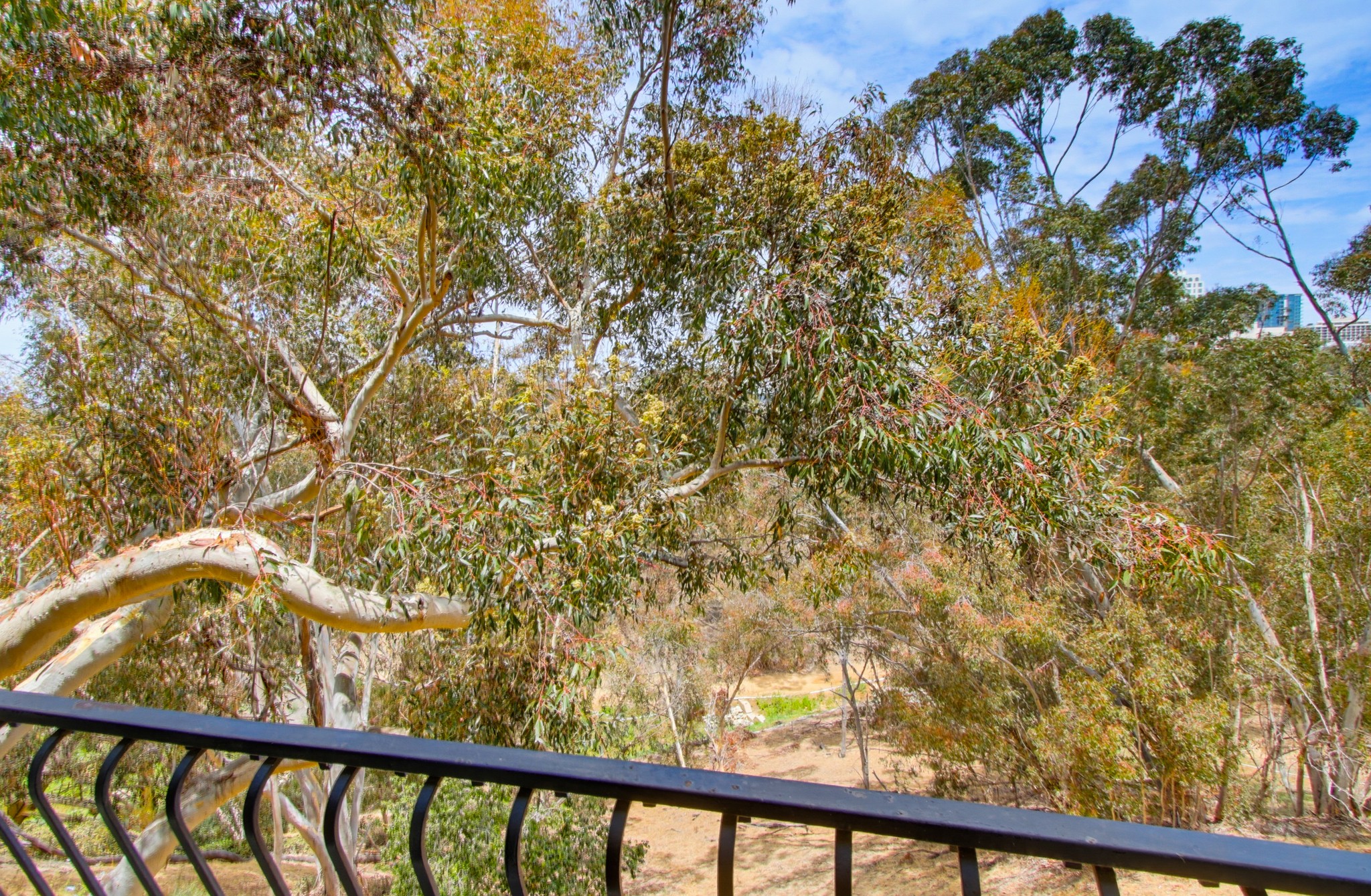 Virtual tour photo 48 of 71 for 2770 Second Ave Unit 112