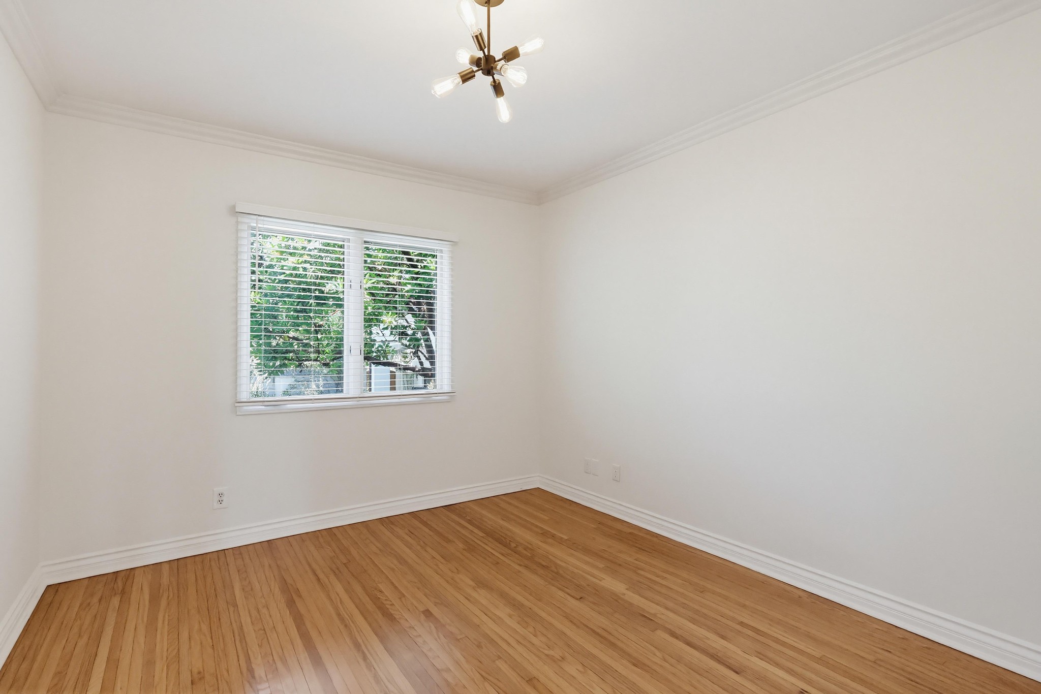 Virtual tour photo 51 of 62 for 278 Granada Ave