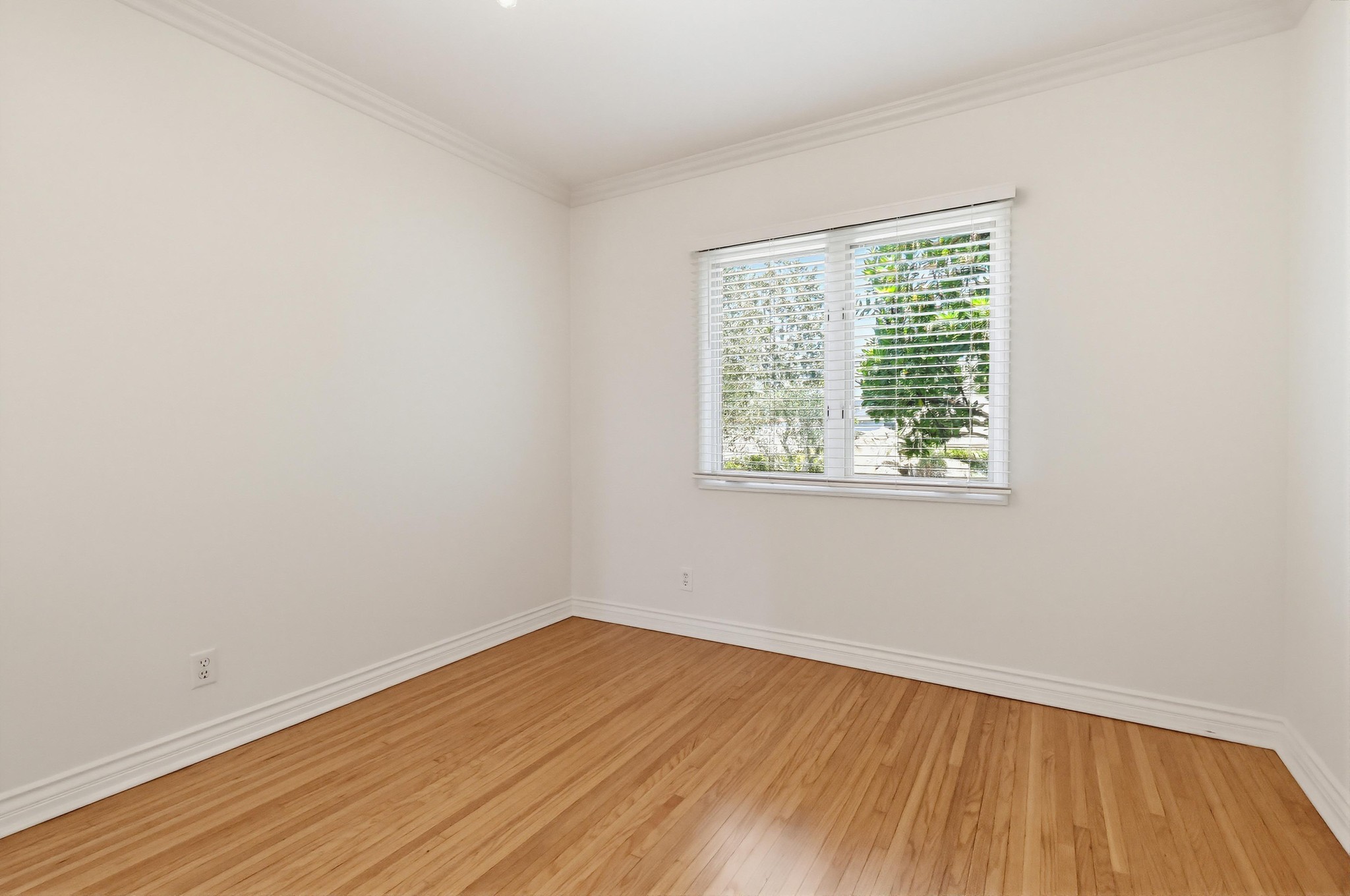 Virtual tour photo 54 of 62 for 278 Granada Ave
