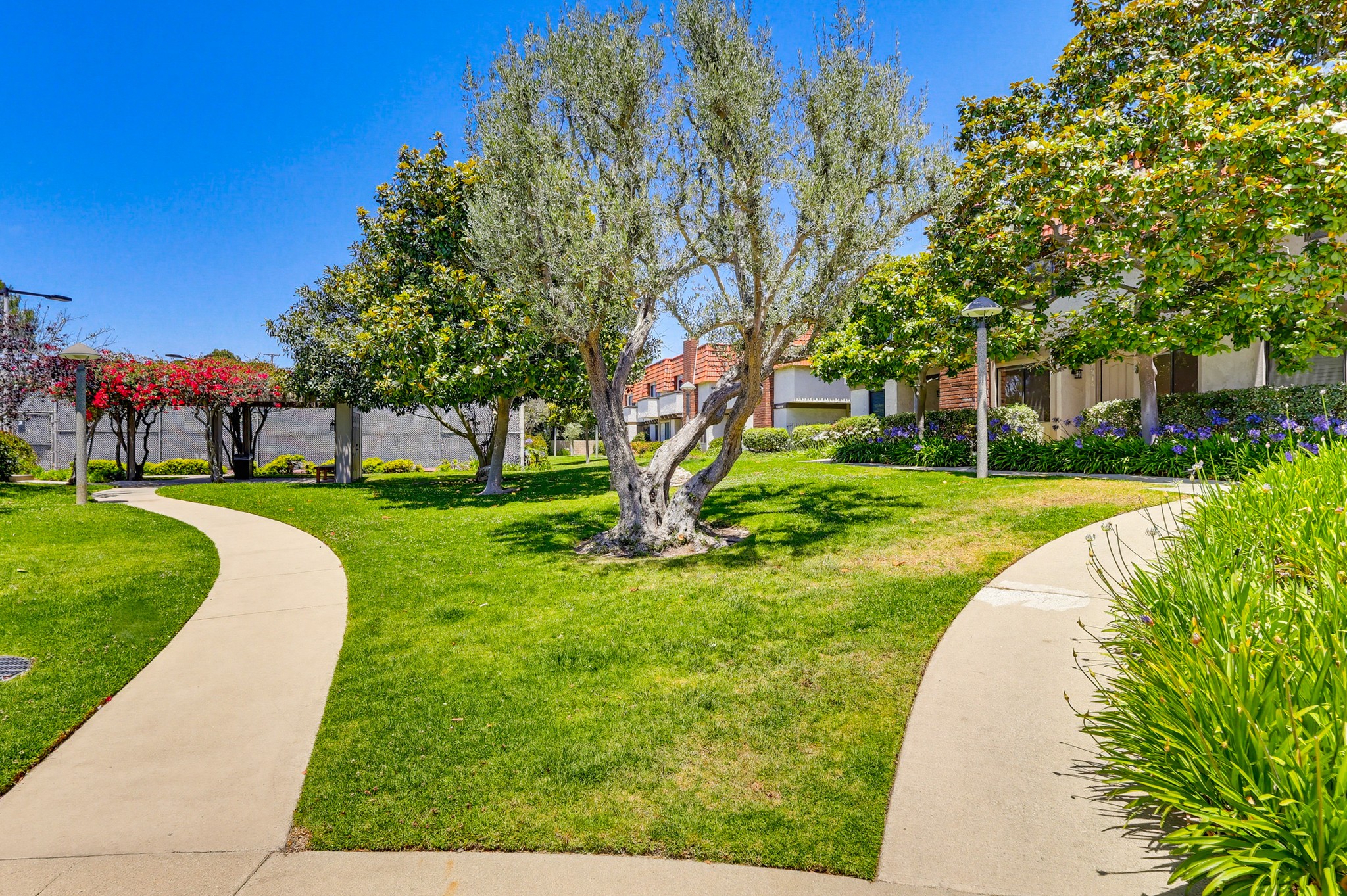 Virtual tour photo 1 of 91 for 27914 Ridgebluff Ct