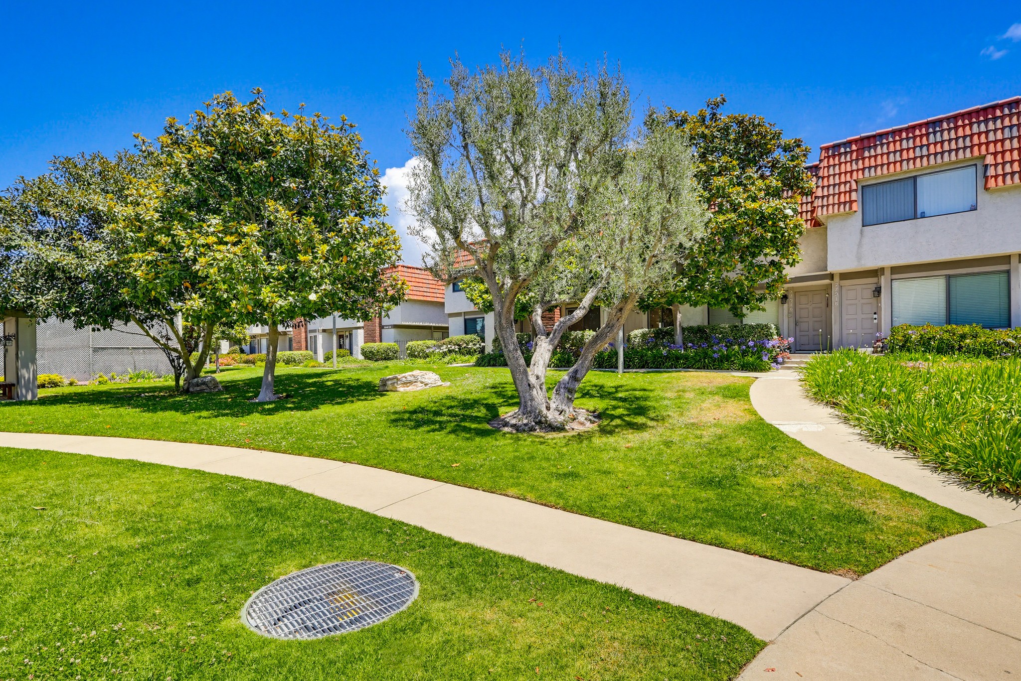 Virtual tour photo 3 of 91 for 27914 Ridgebluff Ct