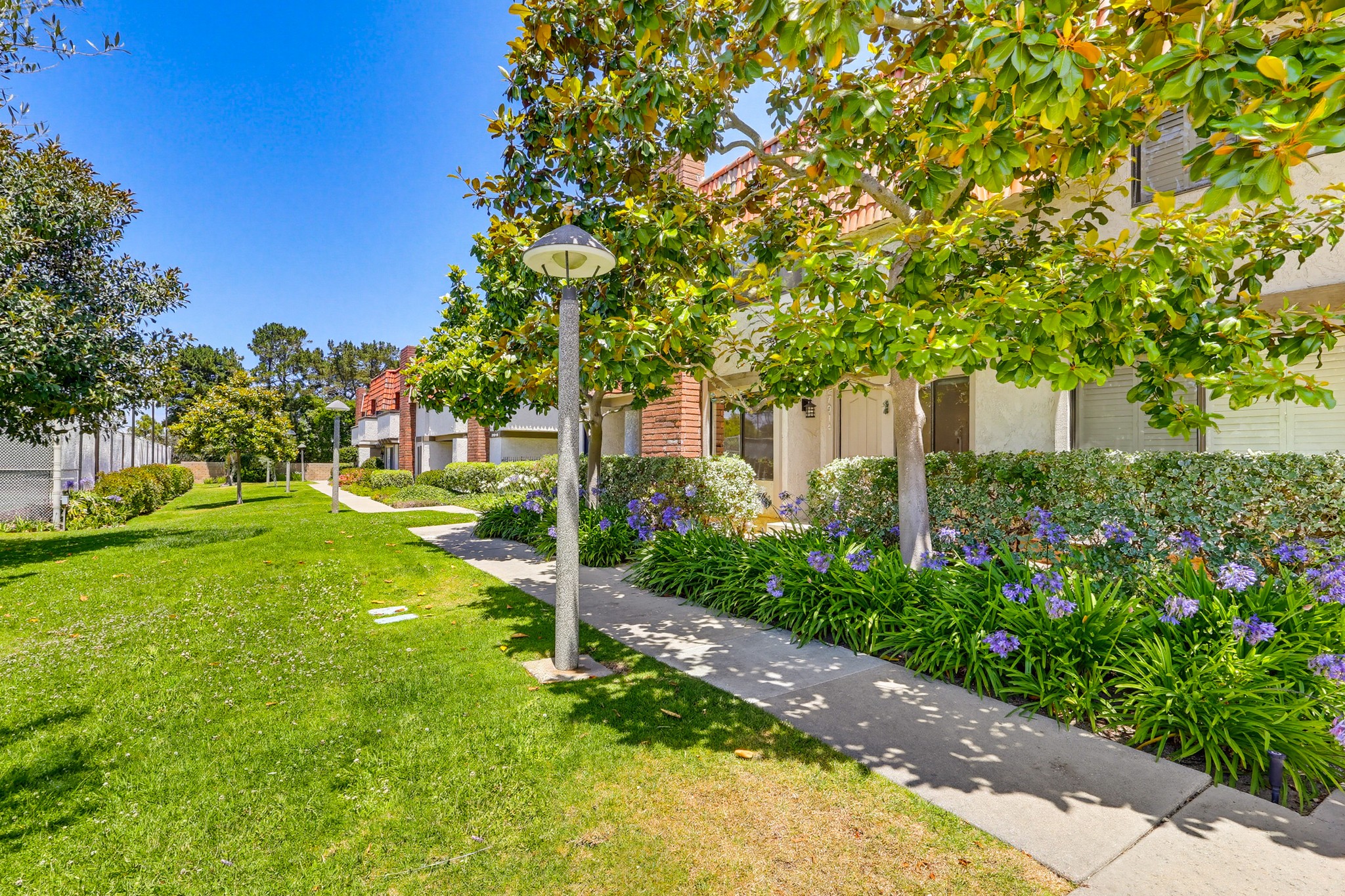 Virtual tour photo 8 of 91 for 27914 Ridgebluff Ct