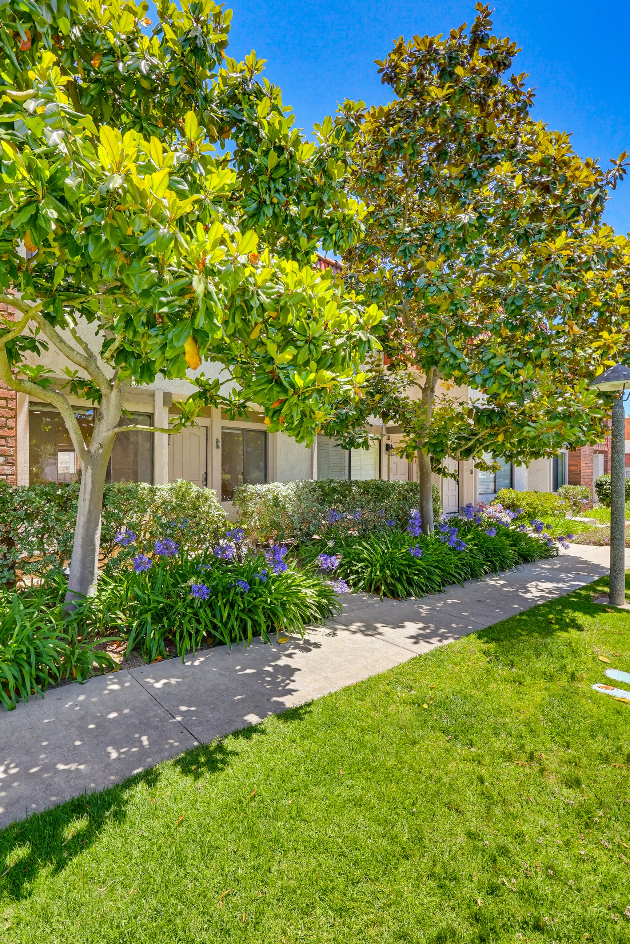 Virtual tour photo 10 of 91 for 27914 Ridgebluff Ct