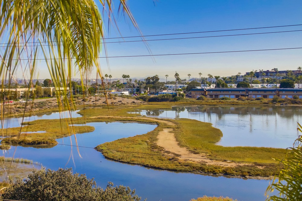 Virtual tour photo 20 of 51 for 2828 Famosa Blvd #305